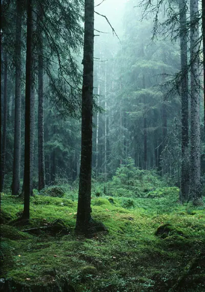 Hälsingland