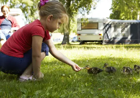 Camping & Schweden