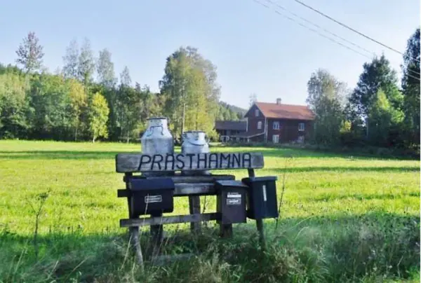 „Kosläpp“: Wenn die Kühe losgelassen werden