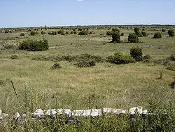 Stora Alvaret