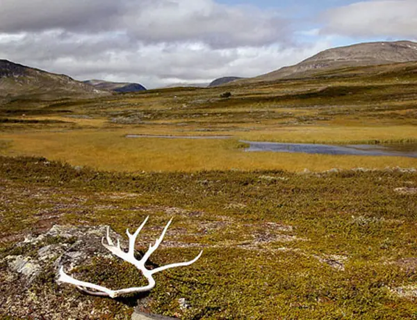 Jämtland