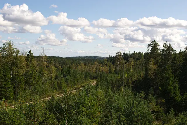 Bergslagsleden – Der waldige Wanderpfad