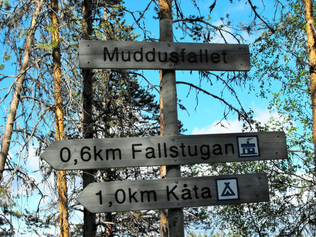 Der Muddus Nationalpark – Ursprüngliche Natur