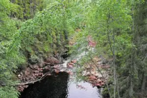 Brattfallet und Halgåleden - Kleinodien im Värmland 6 Blick in eine kleine Schlucht des Flusses Halgár