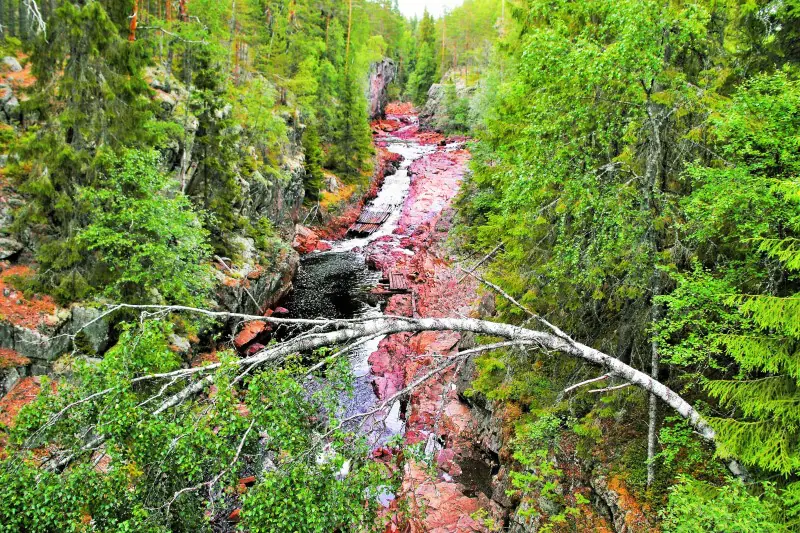Brattfallet und Halgåleden – Kleinodien im Värmland