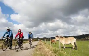 Kulinarische Radtour