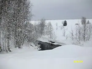 MD003233