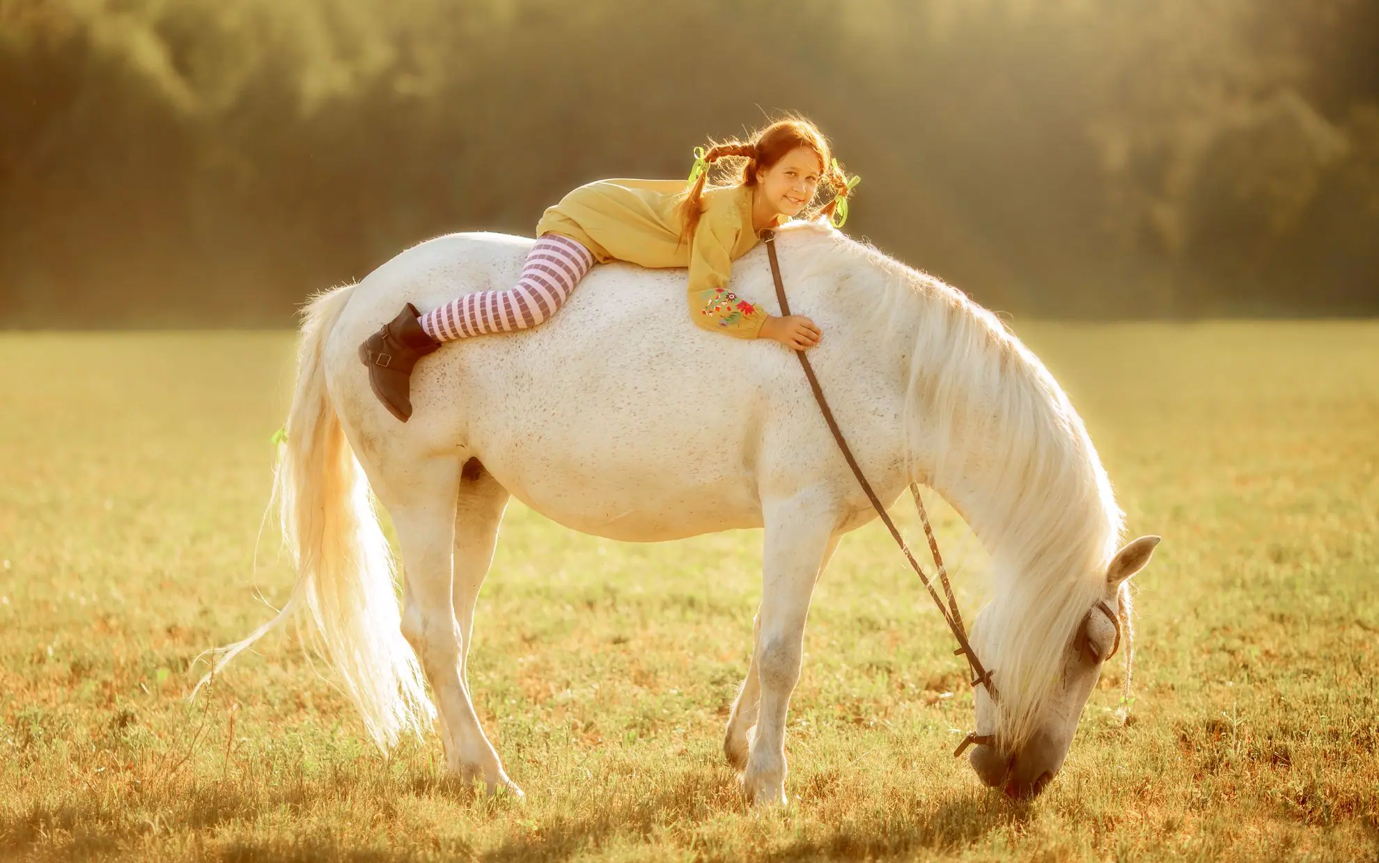 Pippi langstrumpf auf pferd