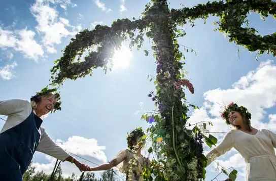 Kleiner Mittsommer-Guide für Anfänger und Fortgeschrittene