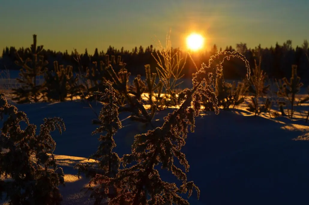 Norrbotten 2 Schwedische Landschaft Norrboten im Winter unter der Abendsonne