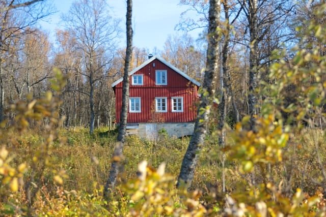 Warum Schweden im Herbst am Schönsten ist 🍁