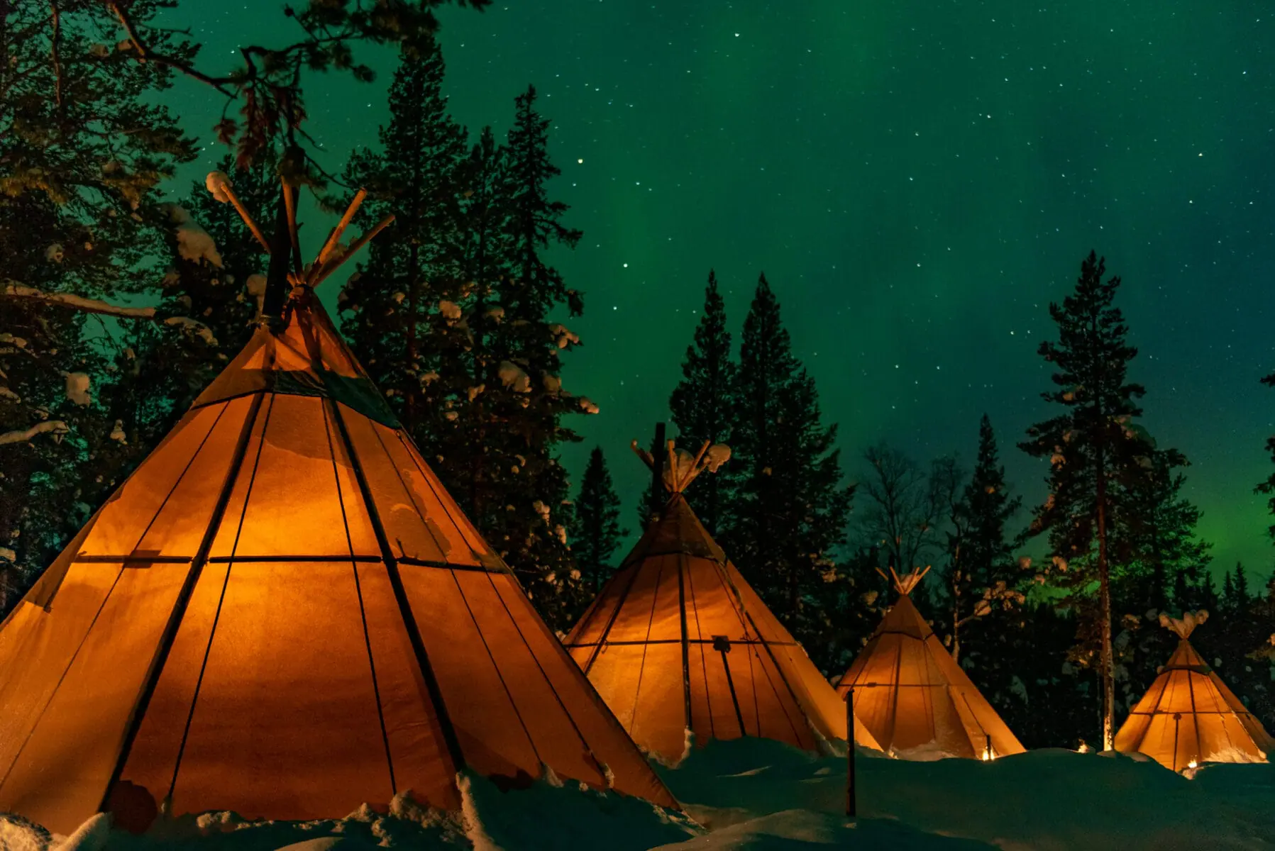 Schlaftourismus in Schweden: Der Trend für erholsame Nächte in der Natur