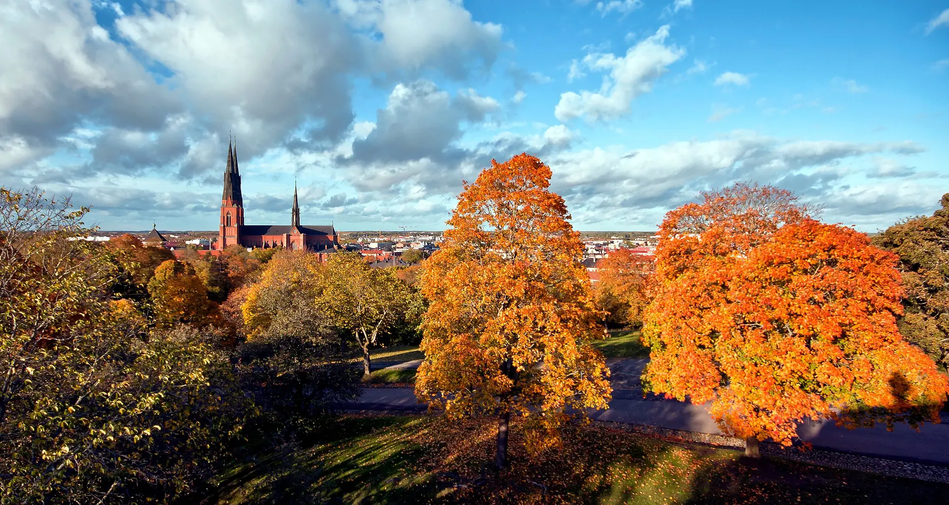 Blick über die Stadt Uppsala mit Kirchturm und Park