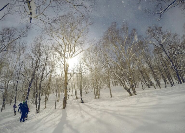 Ein Tag im schwedischen Winterwald – Ruhe, Spuren, Licht
