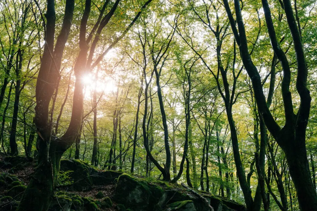 Impressionen aus Skåne, Schweden