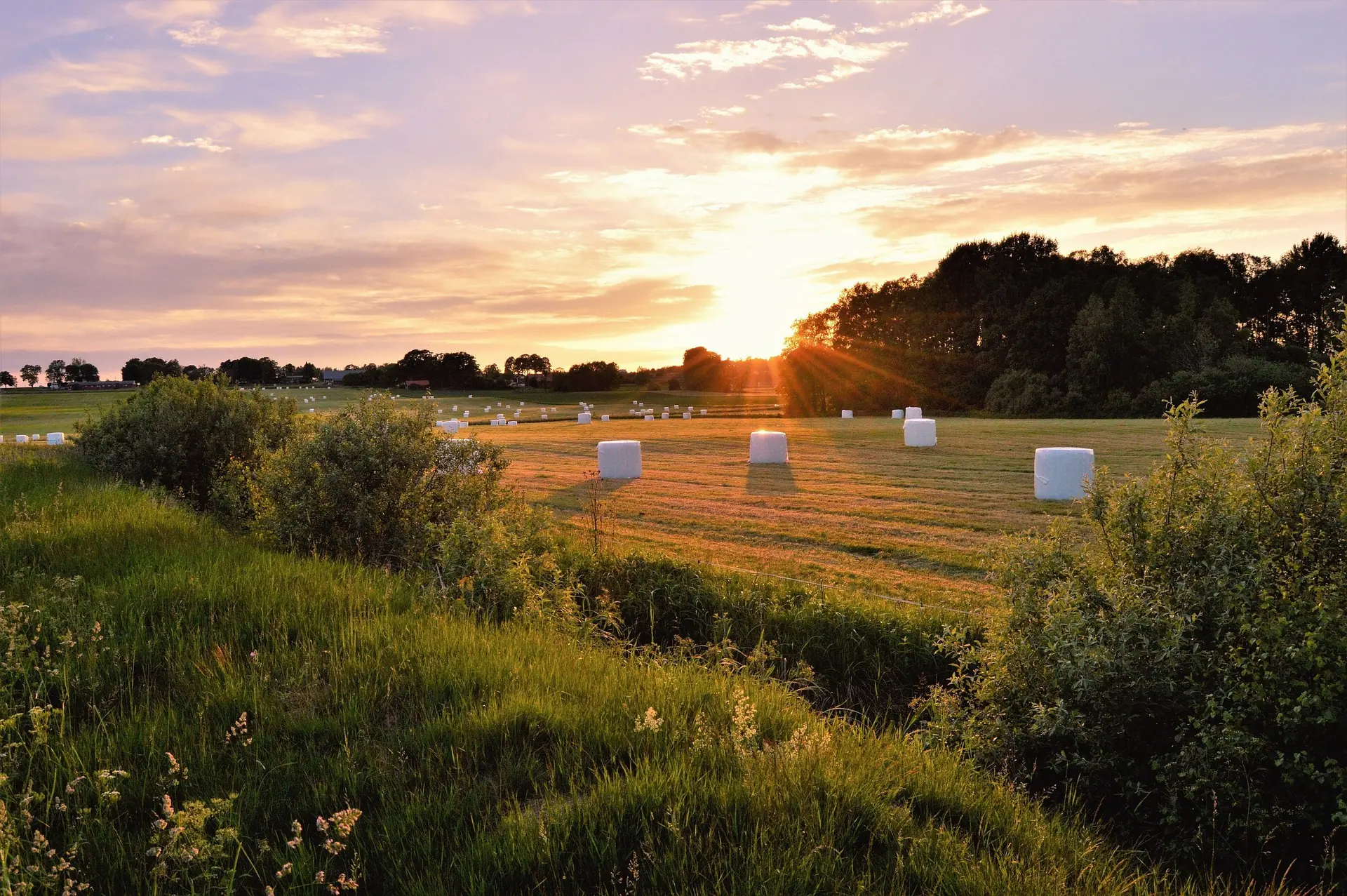 Sonnenaufgang über einer Farm in Smaland, Schweden.