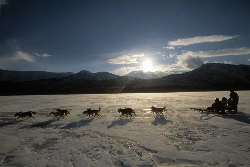 Schlitten mit Hunden davor im Schnee bei aufgehender Sonne in Schweden