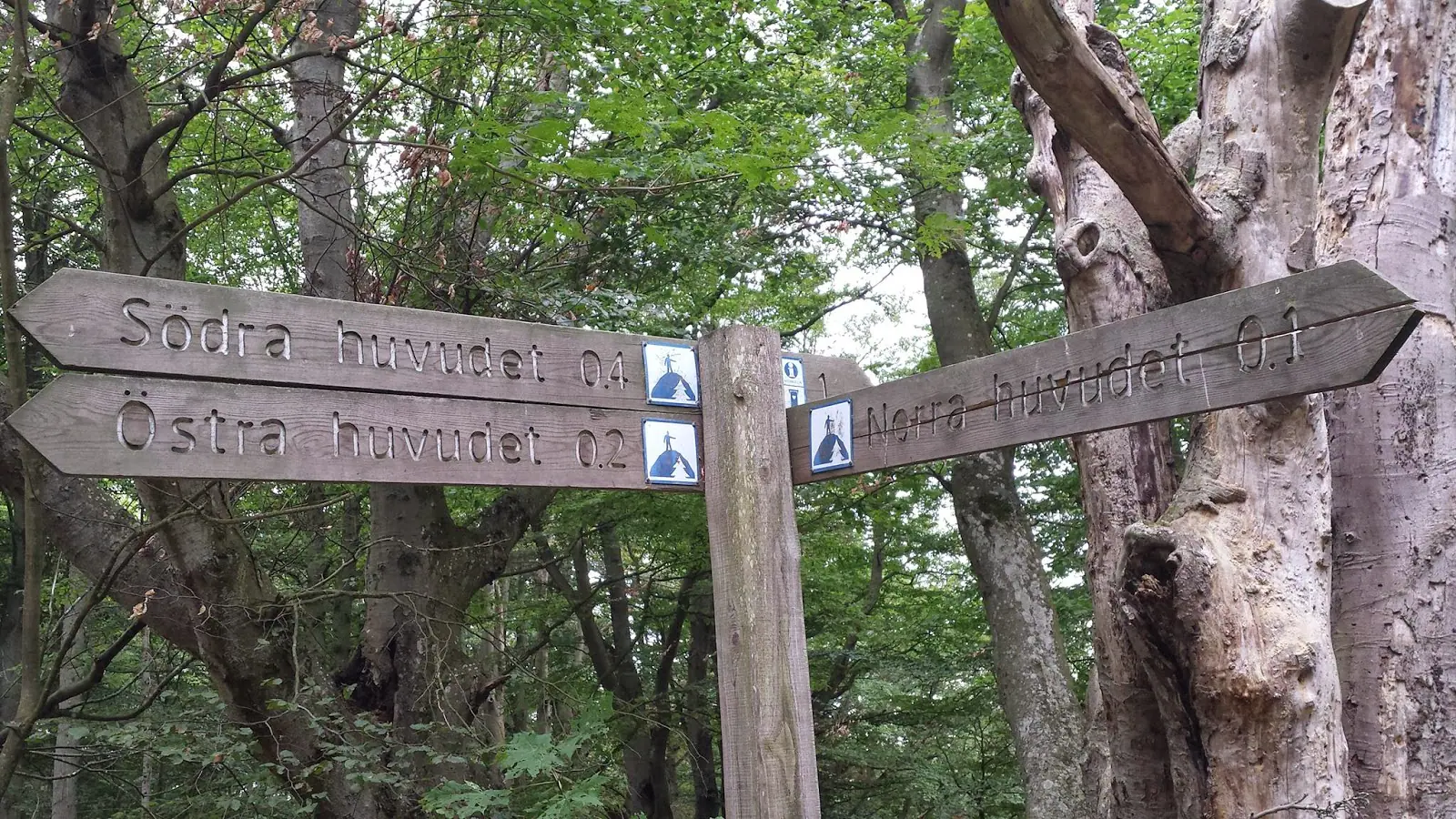 Stenshuvud Nationalpark