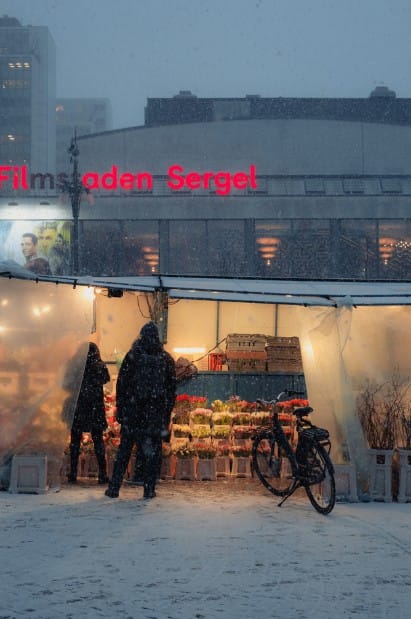 Stockholm im Winter: Spaziergänge, Museen und Fika statt Sightseeing-Stress