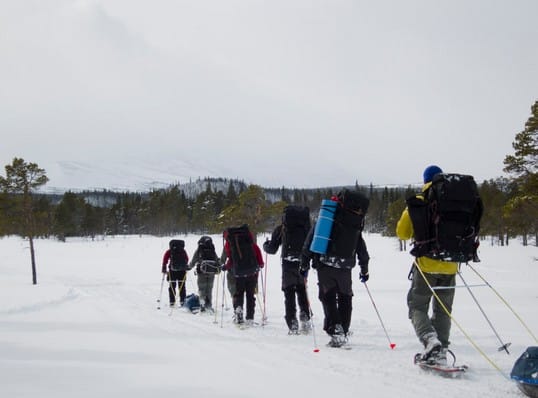 Warum Winterwandern in Schweden so besonders ist